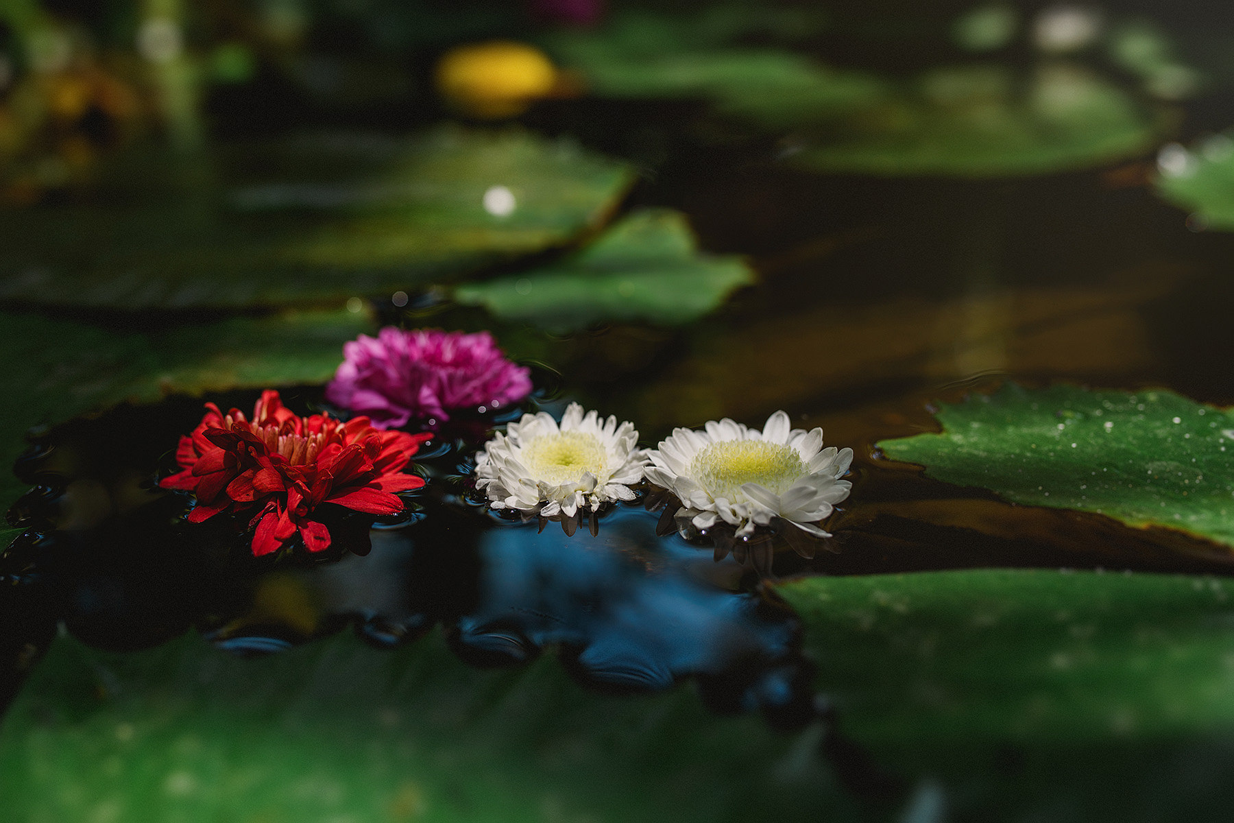 bohemian wedding in puerto escondido mexico