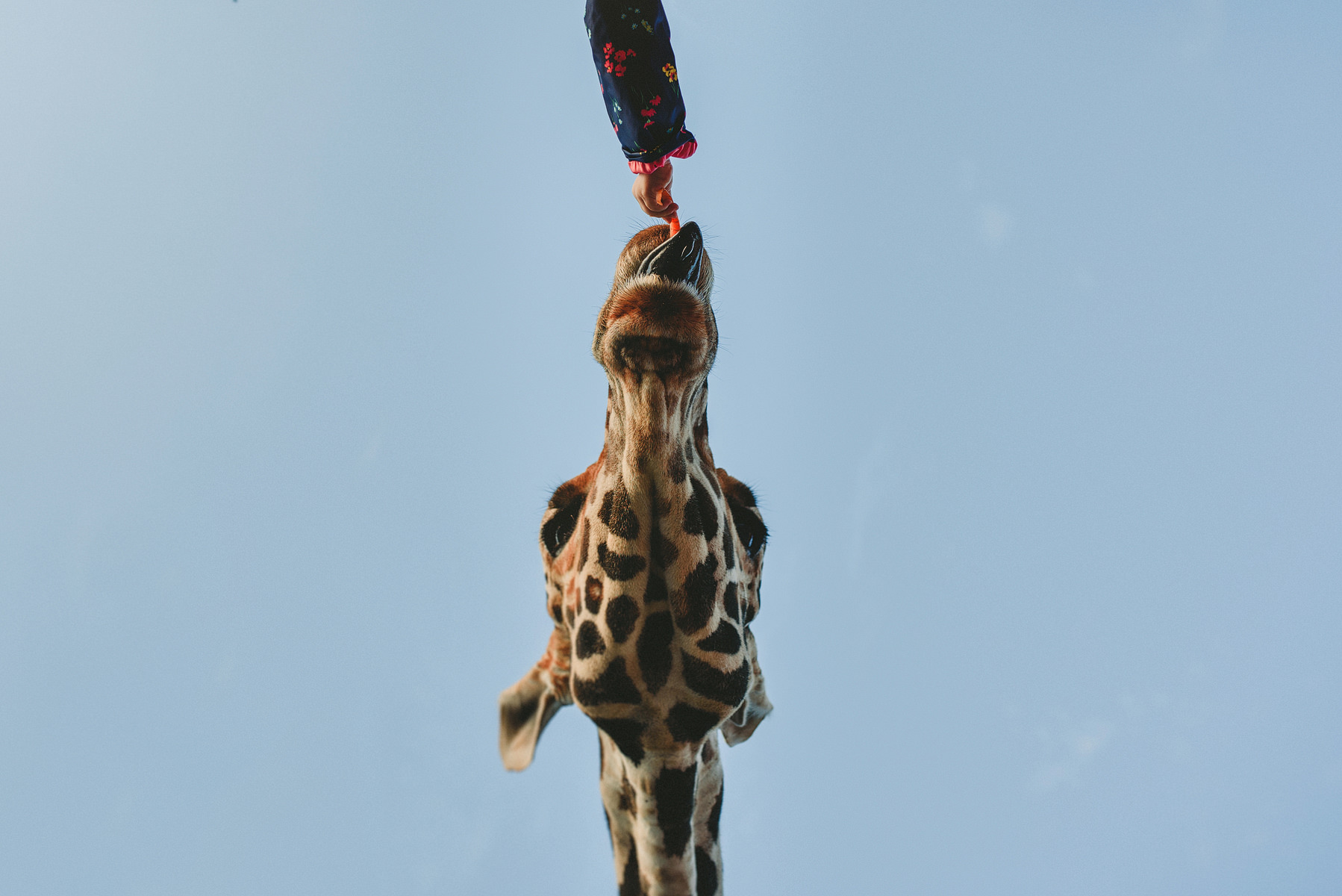 sesion de fotos en monterrey