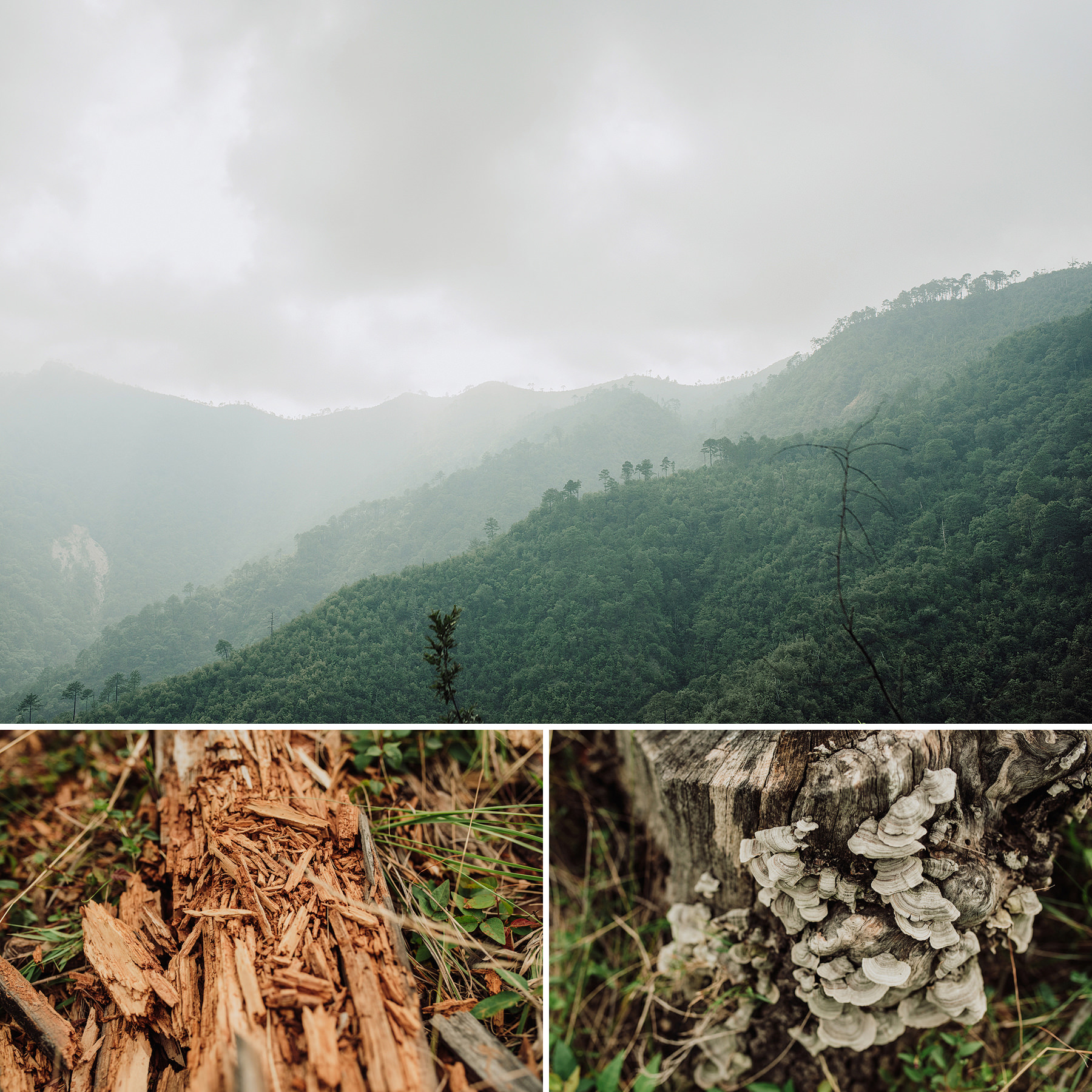 engagement session in monterrey