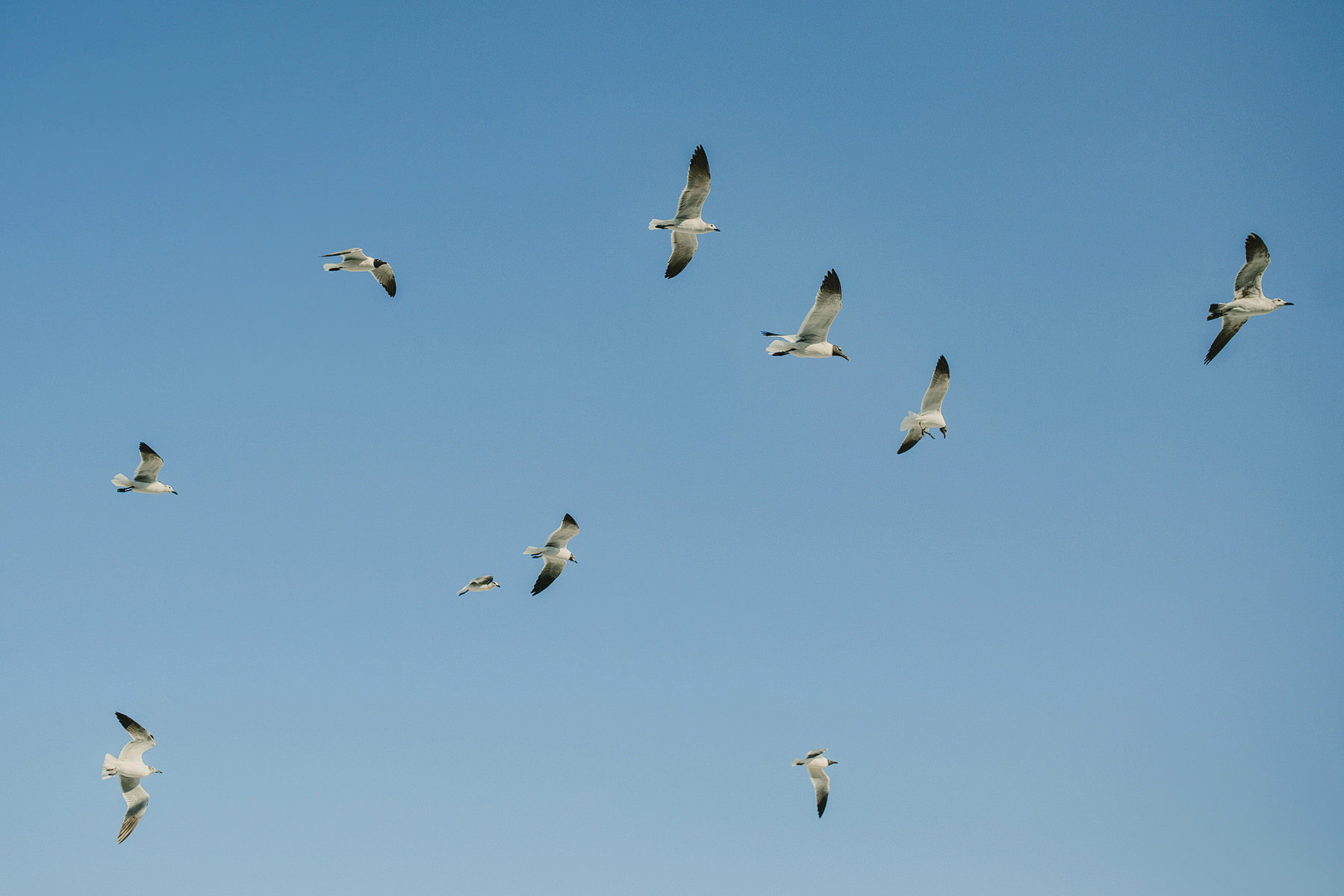 mayan wedding cenote tulum