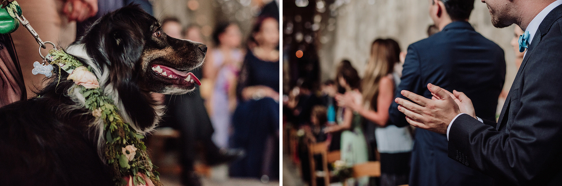 mexico wedding photographer