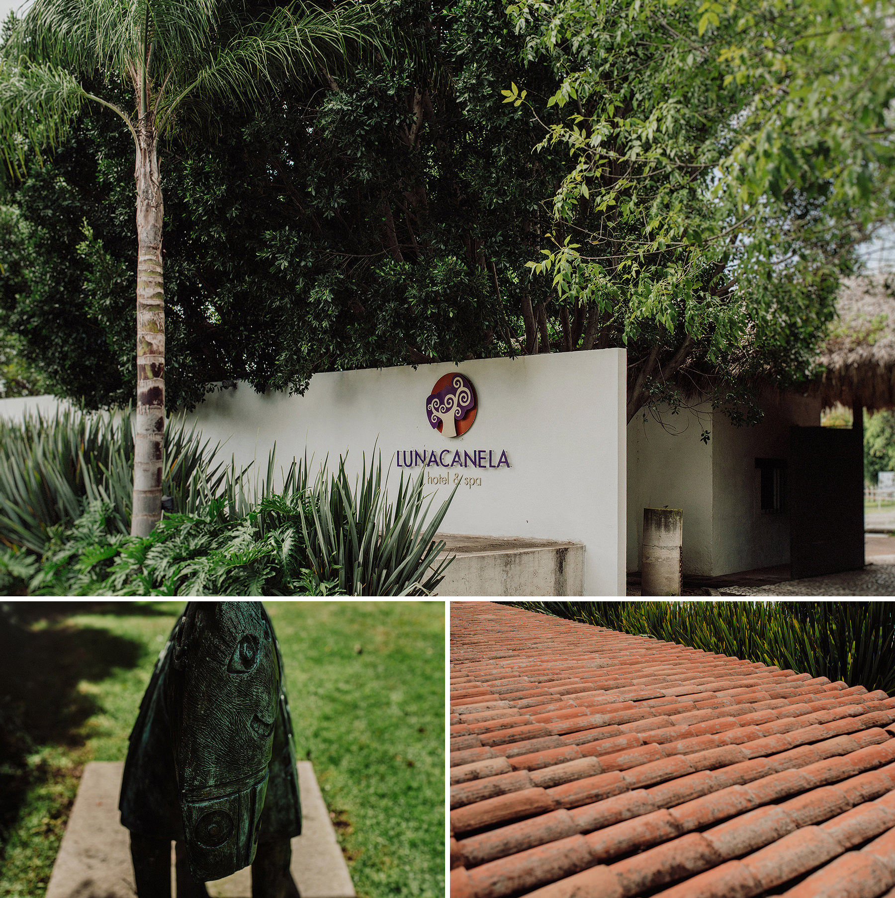 wedding in exfabrica la carolina