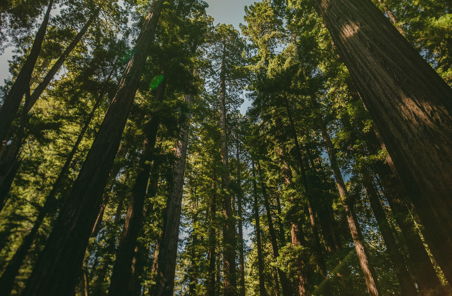 destination photographer