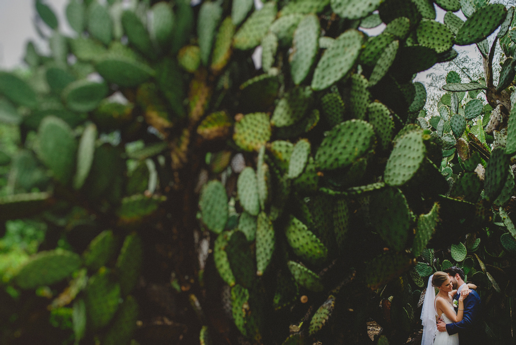 fotografo de bodas en mexico