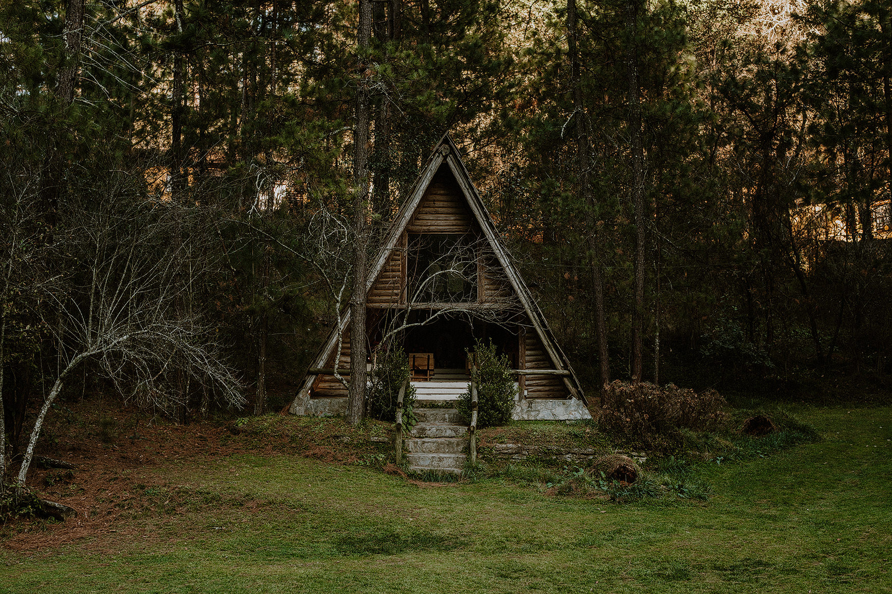 esession in the woods