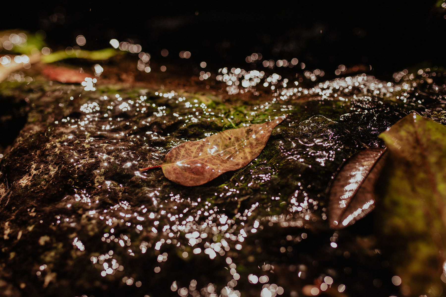 intimate playa del carmen wedding