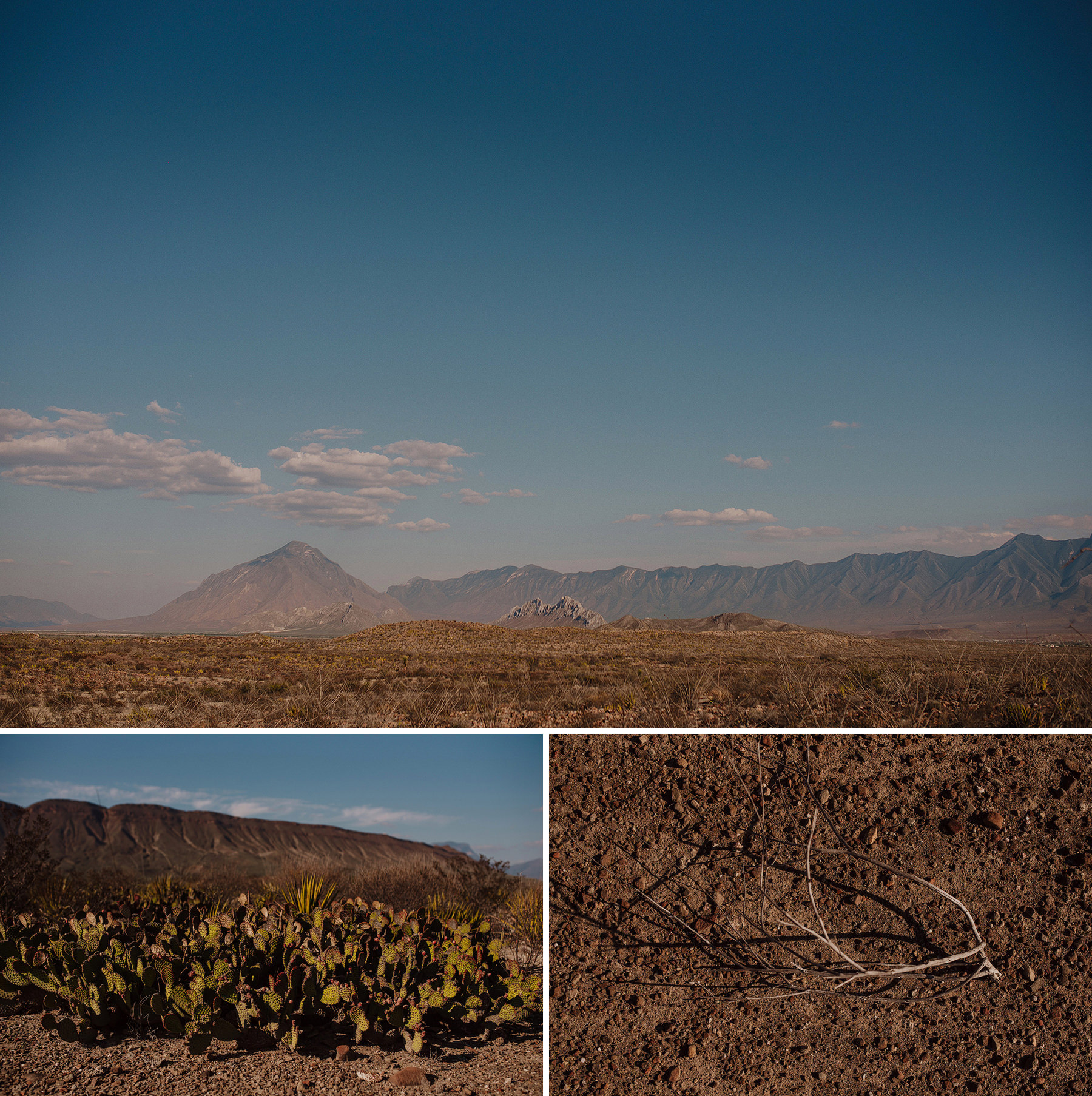 alternative engagement session in the desert