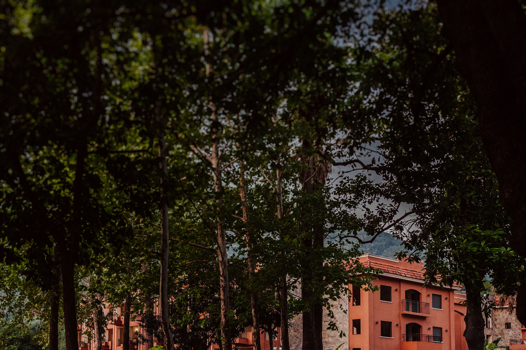 monterrey rustic wedding in vitro parque el manzano