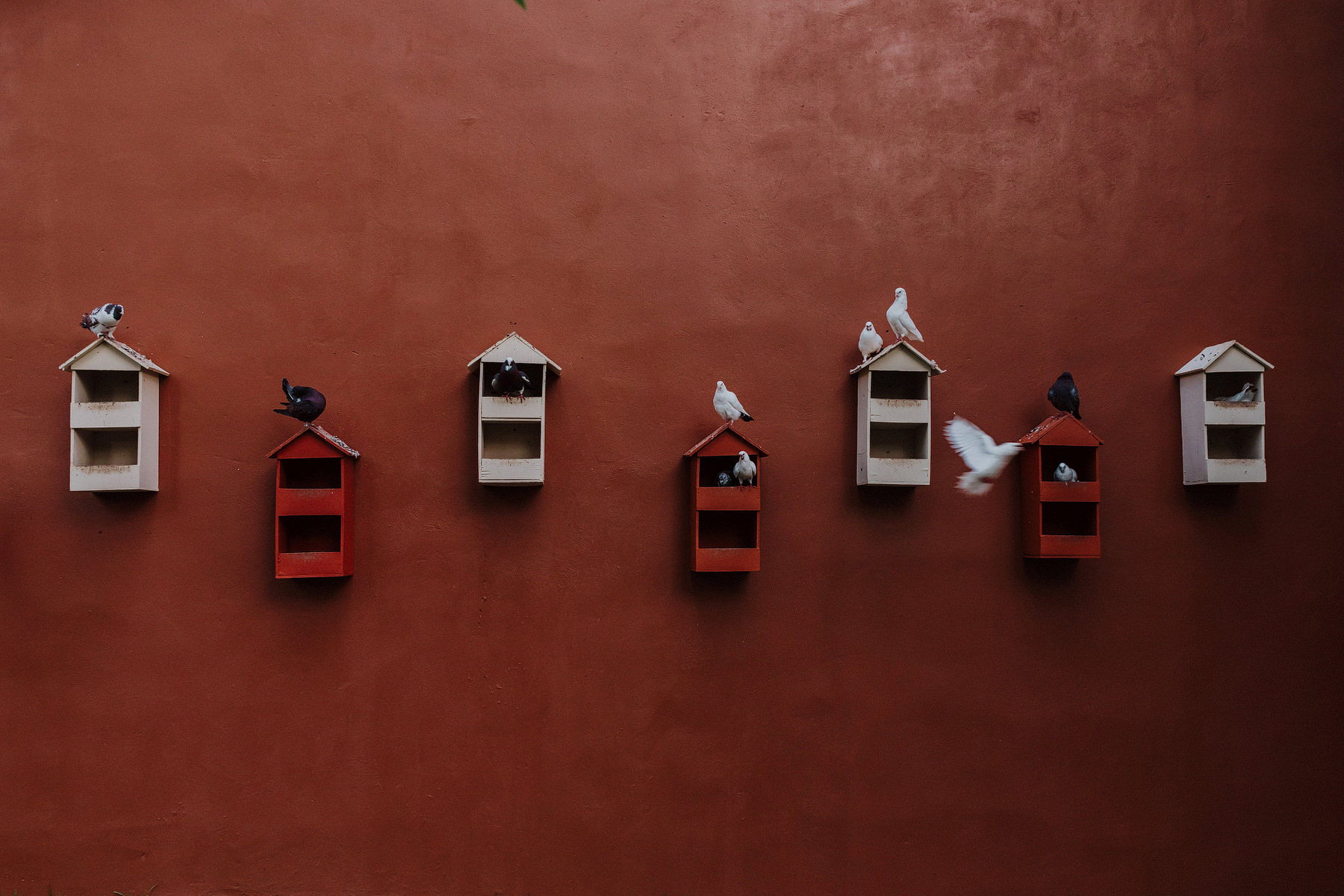 monterrey rustic wedding in vitro parque el manzano