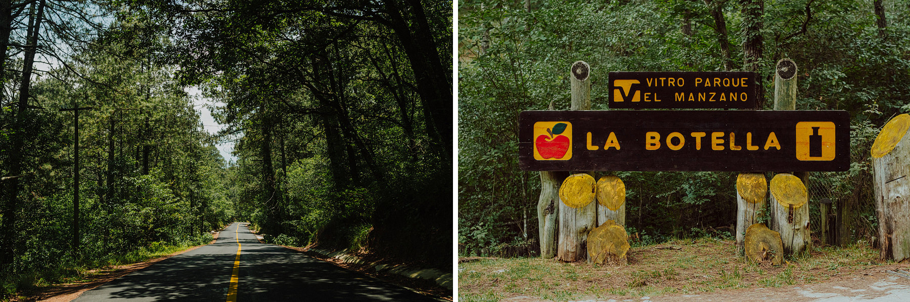 monterrey wedding vitro parque el manzano