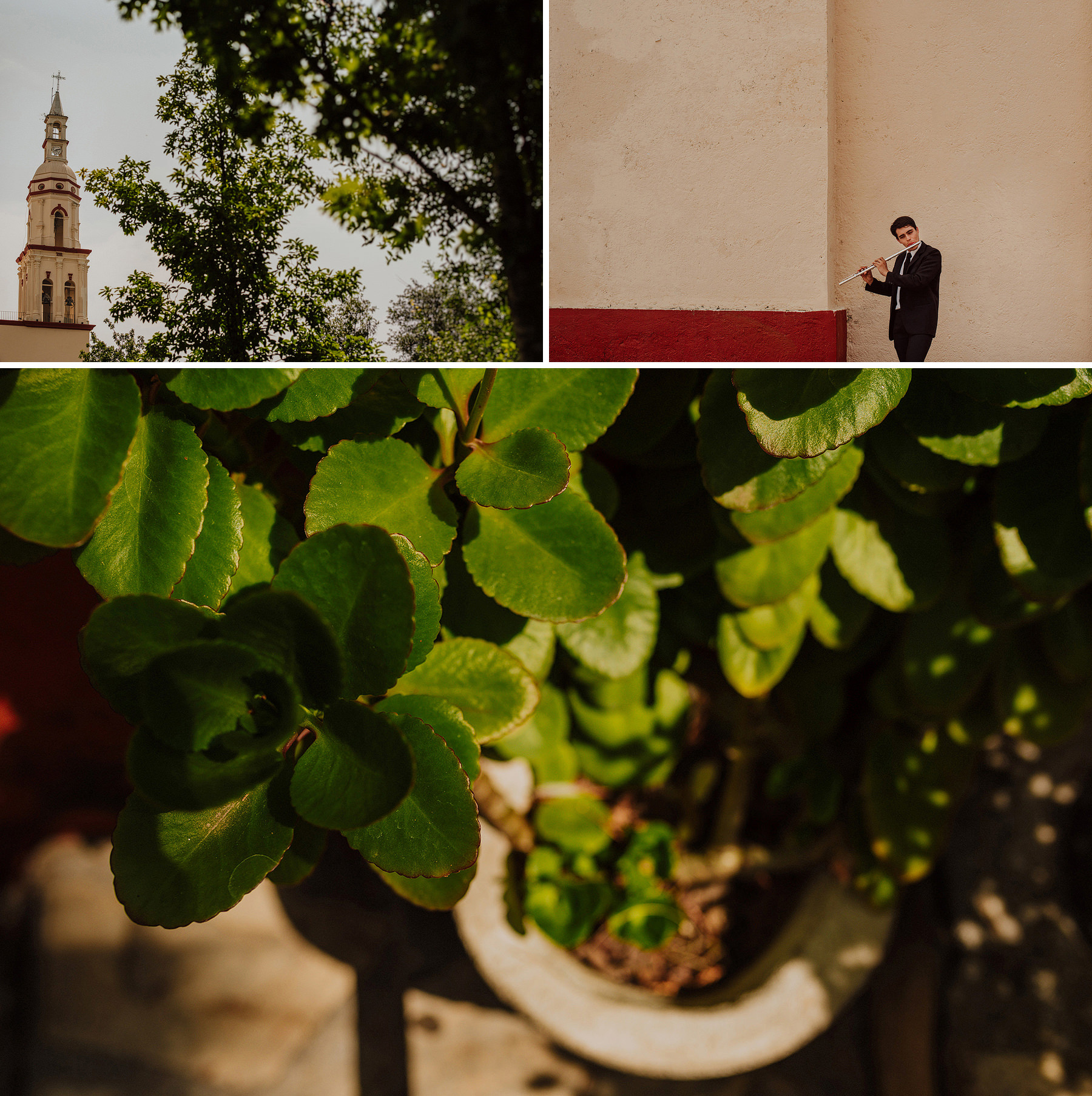 rustic wedding vitro parque el manzano