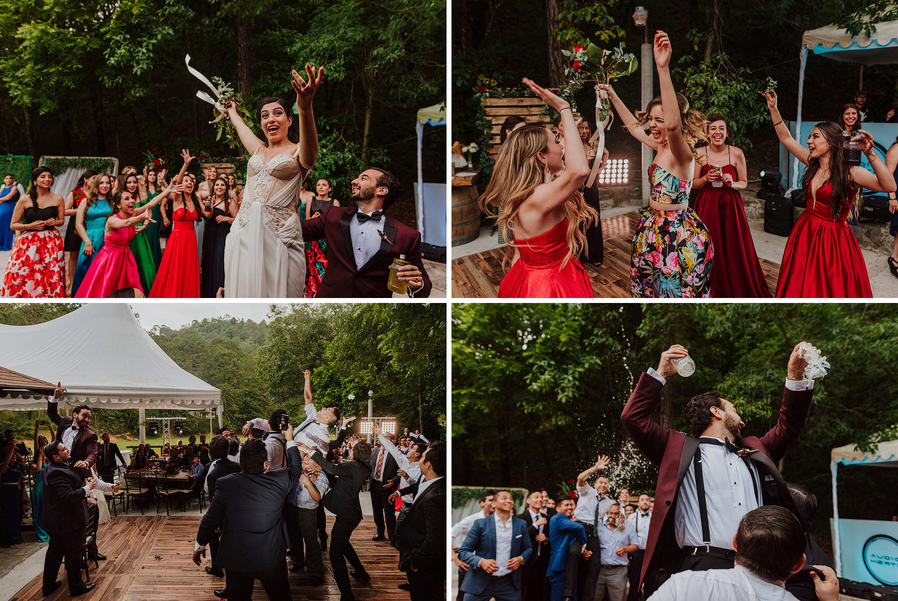 vitro parque el manzano