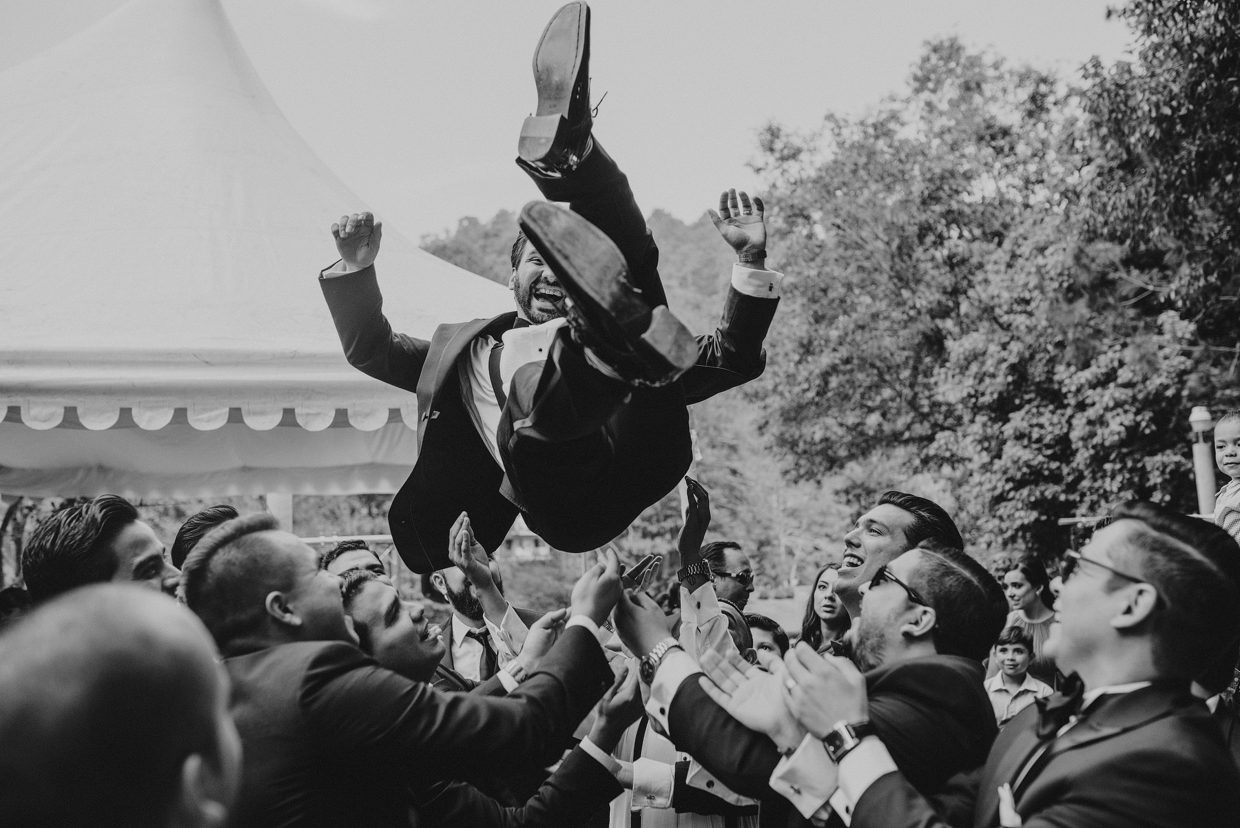 vitro parque el manzano