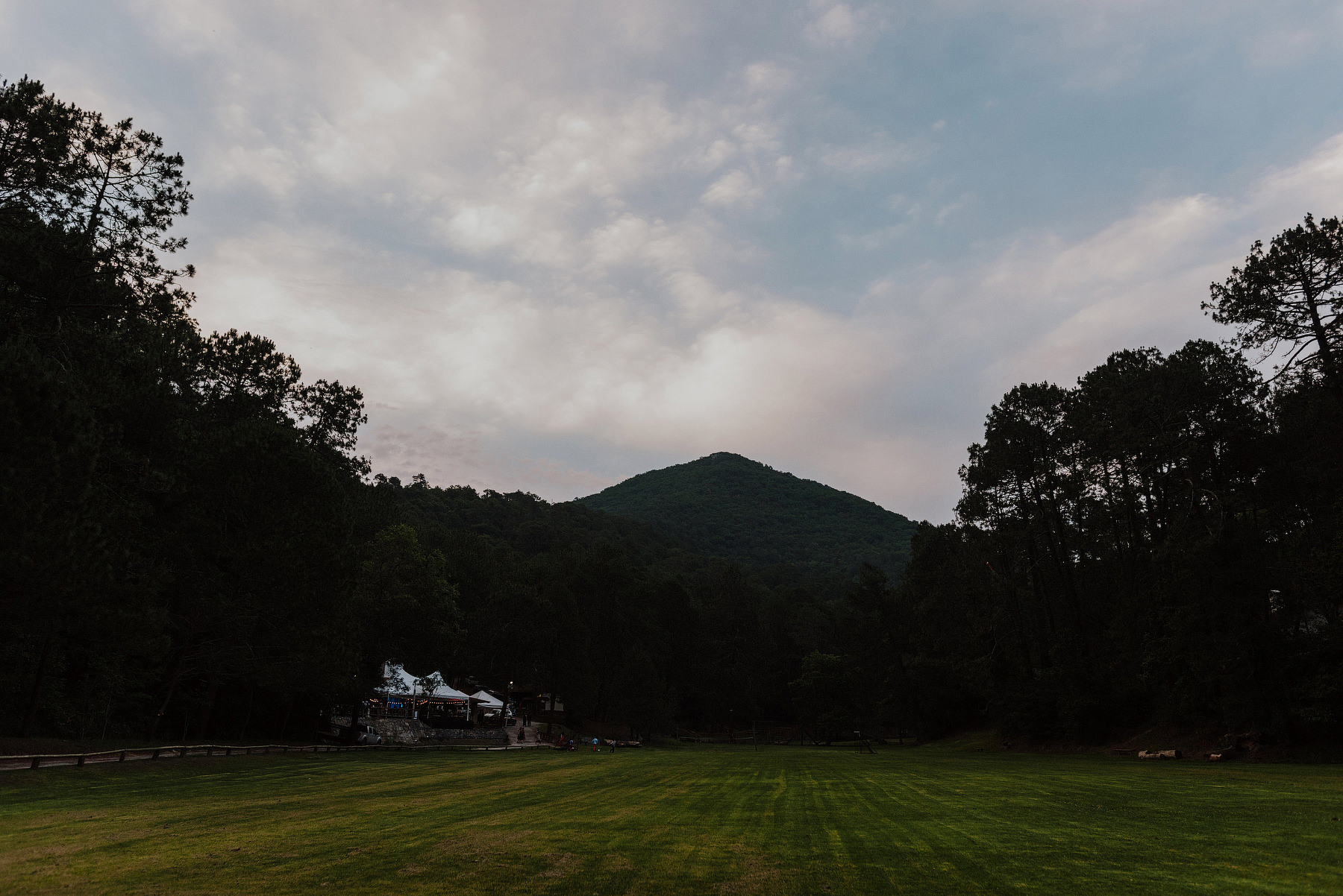 vitro parque el manzano