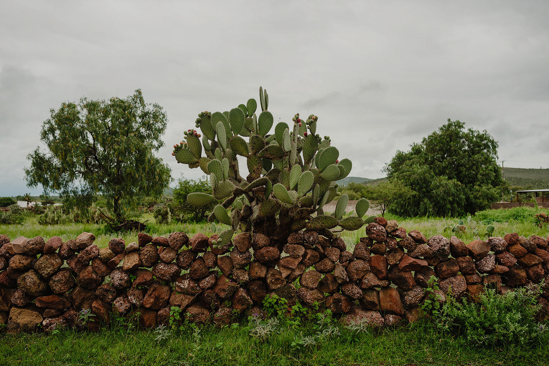 destination wedding quinta real zacatecas