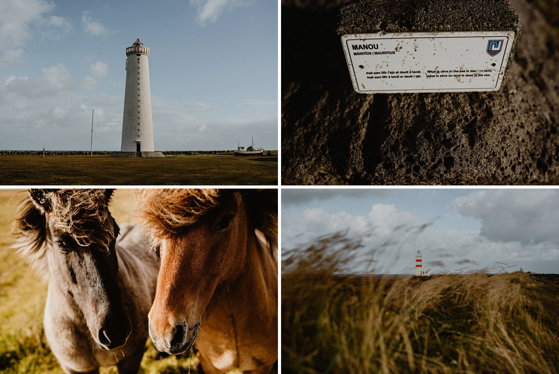 iceland complete road trip