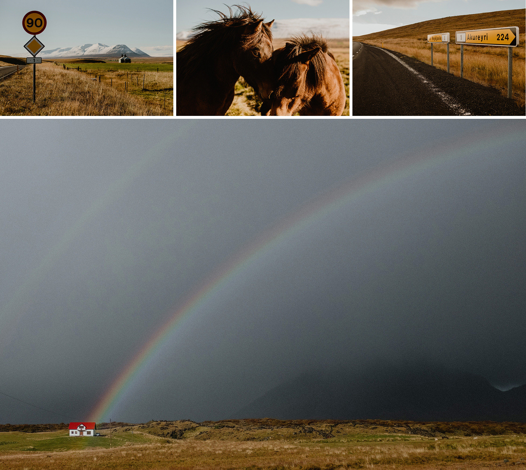 iceland ring road complete road trip