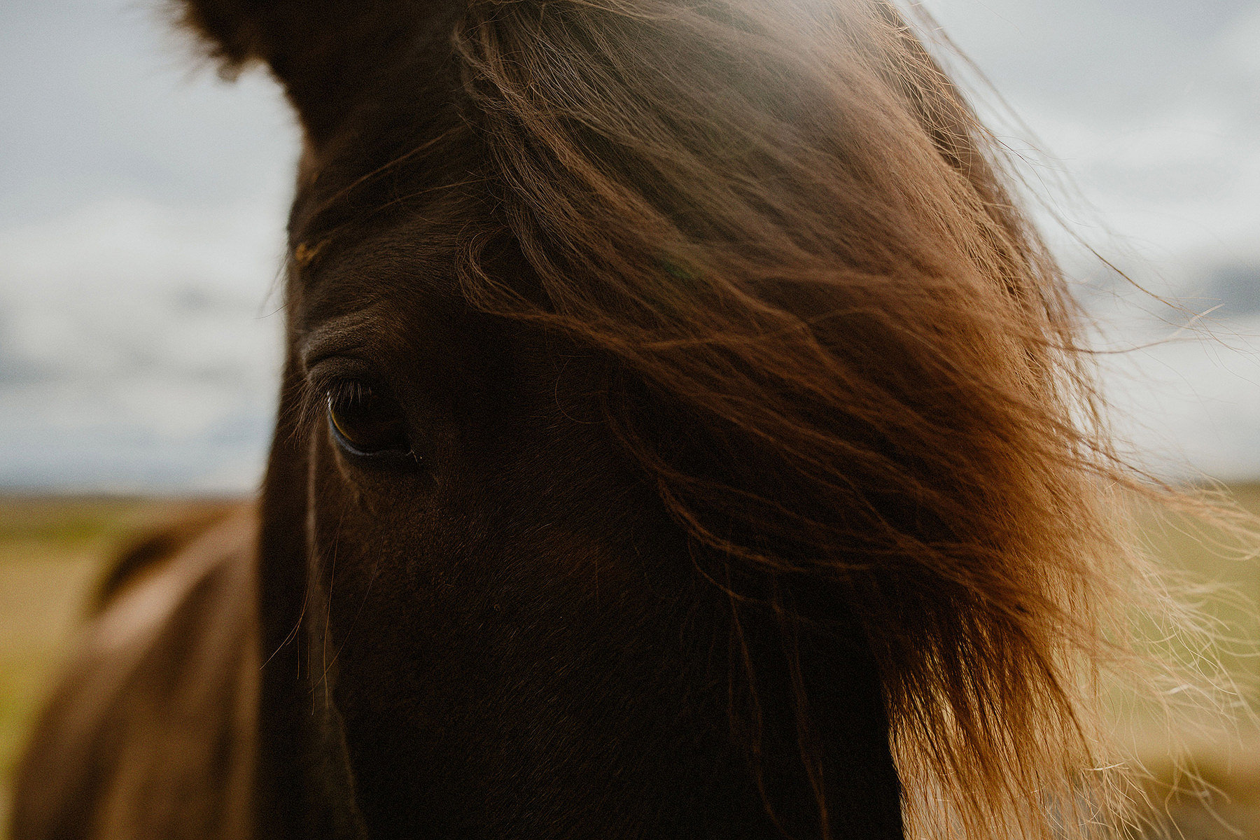 iceland ring road complete road trip itinerary 