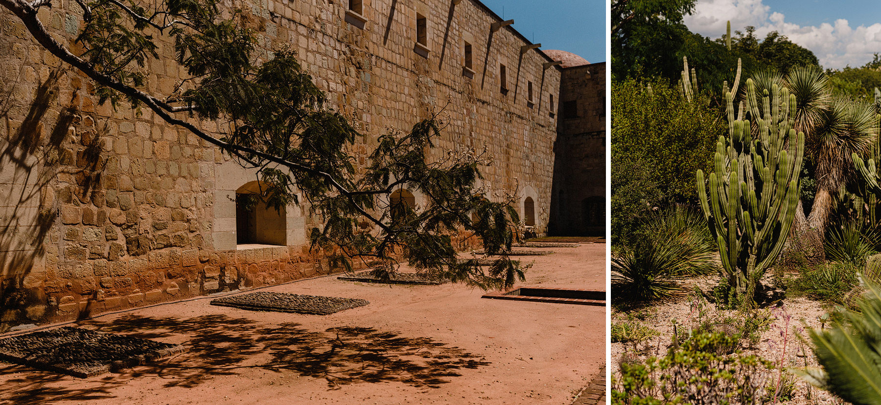 colorful oaxaca wedding at jardin la morada