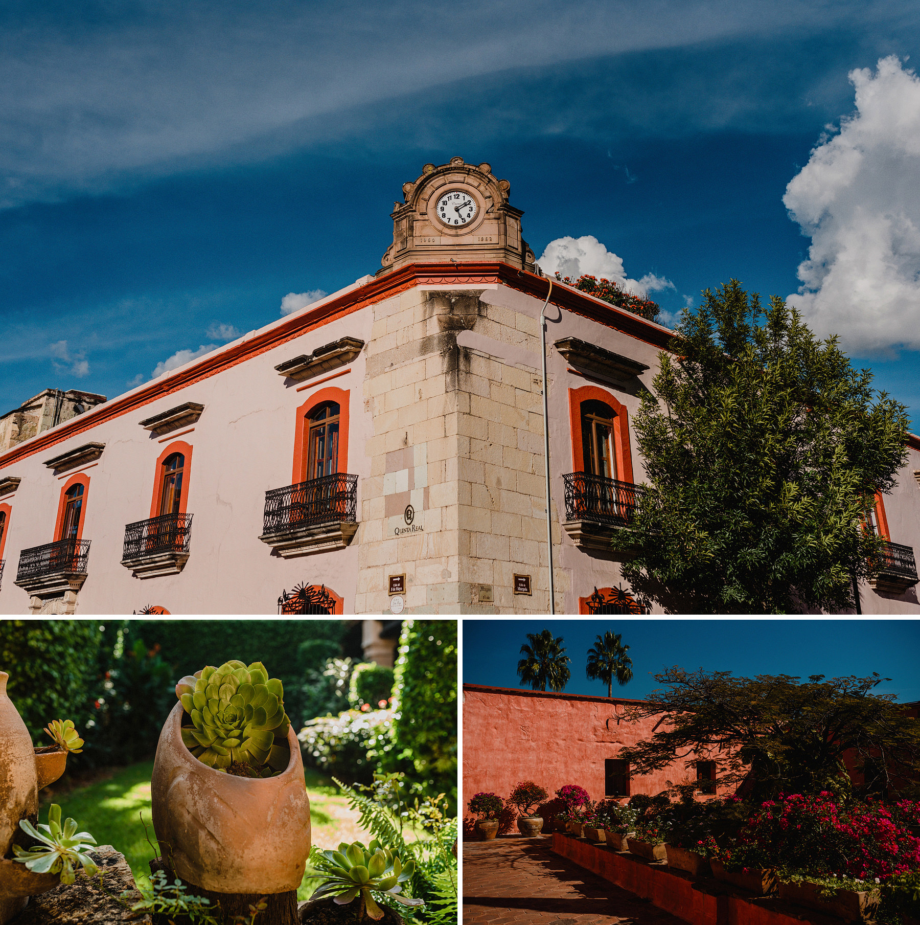 colorful oaxaca wedding at jardin la morada