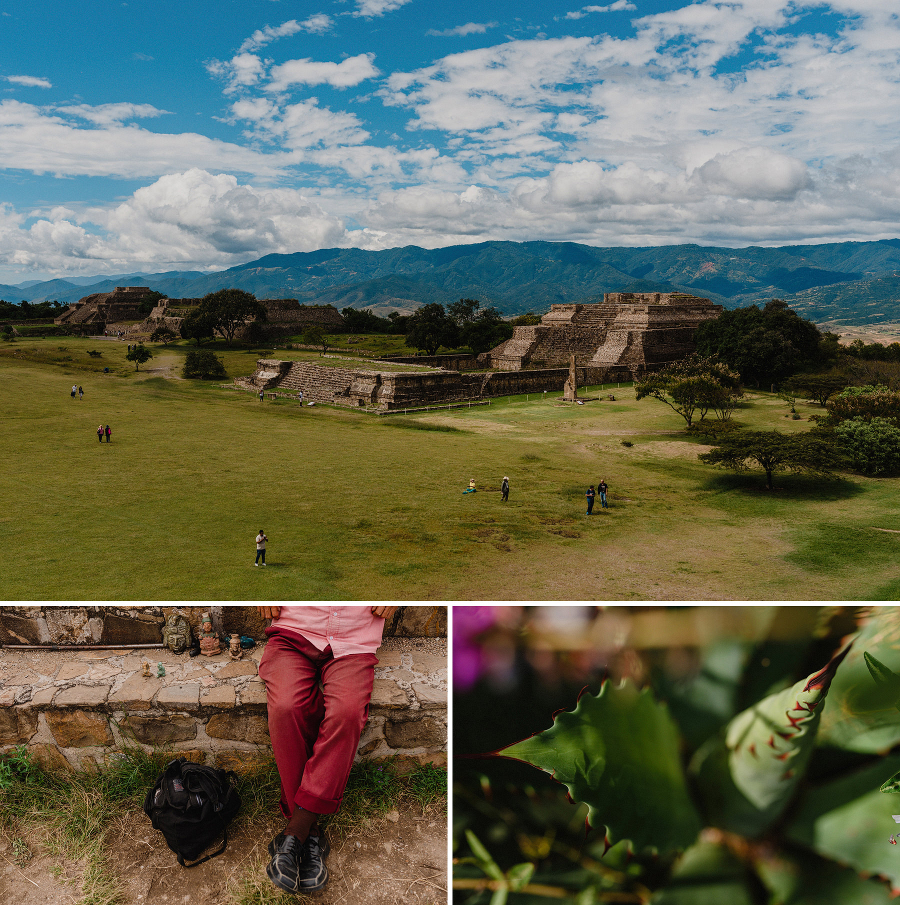 vibrant oaxaca wedding at terraza pitiona casa antonieta