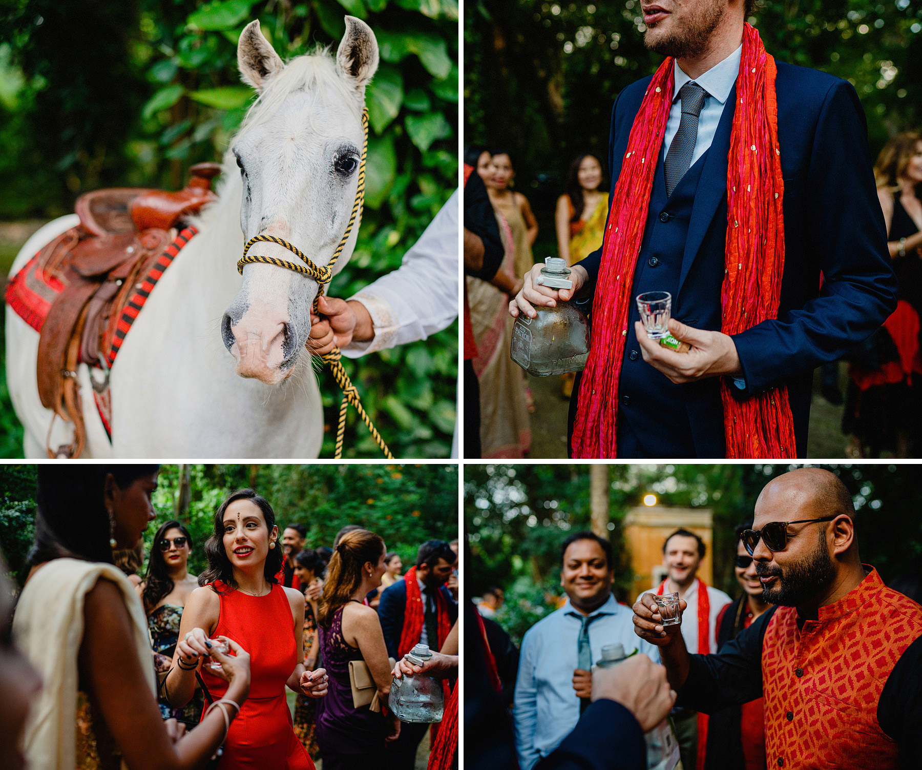 same sex destination wedding