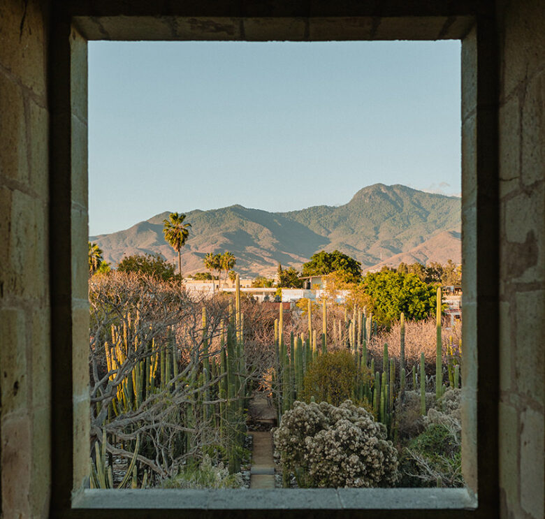 the 10 best wedding venues in oaxaca